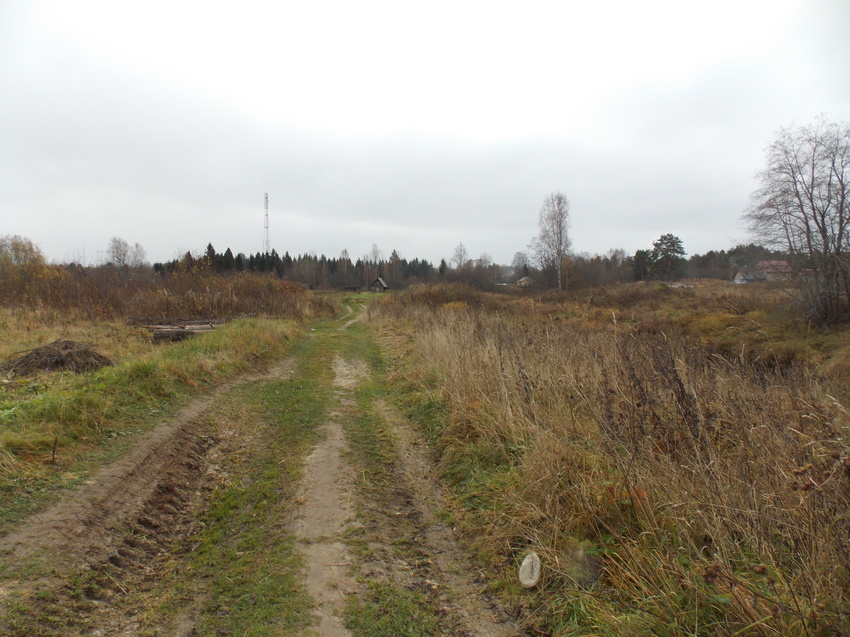 Дорога на огороды