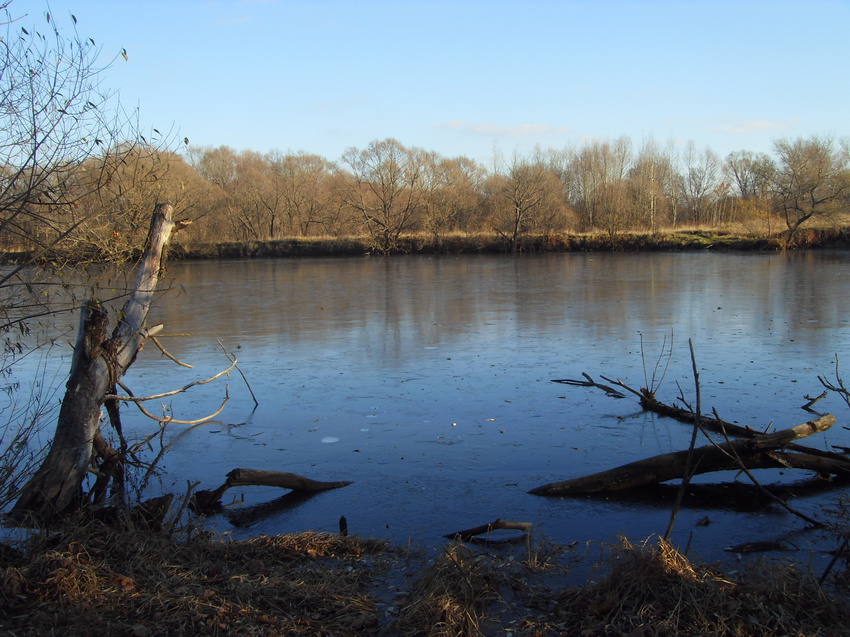 Пруд за садом