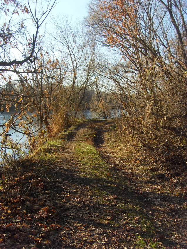 Дорога сделанная рыбаками