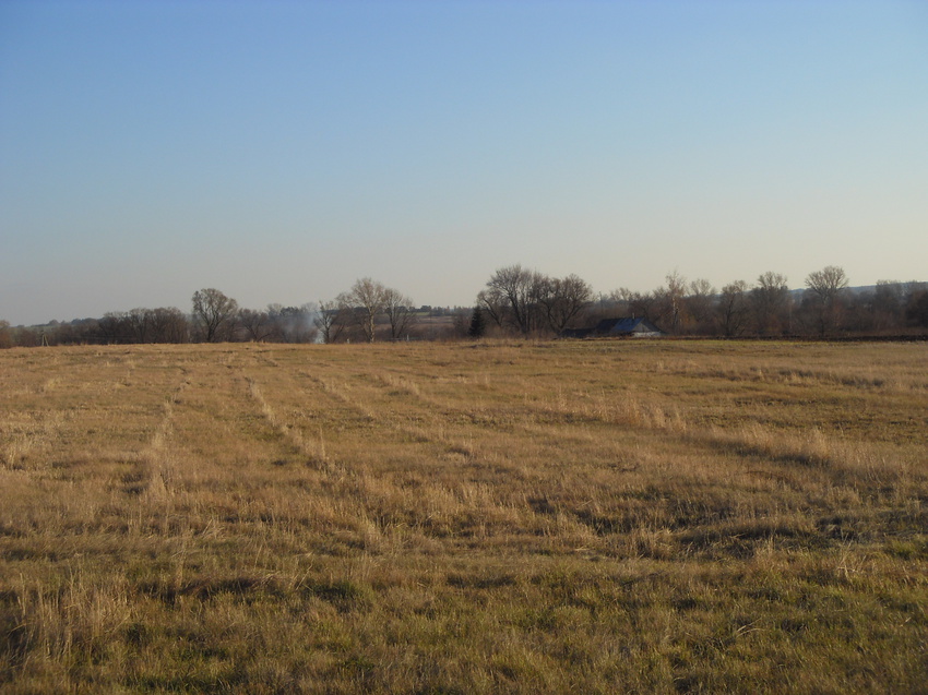 Вид на пастбище