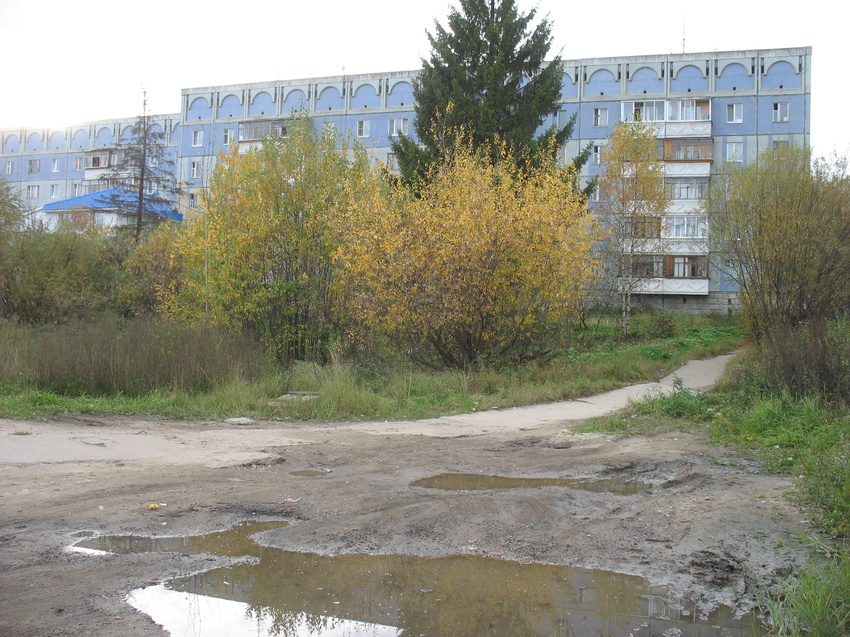 Сыктывкар 2015