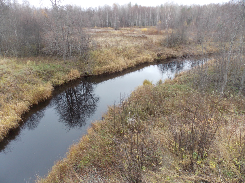 Вверх по течению с моста