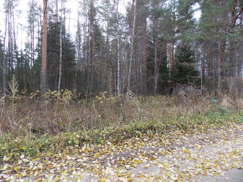 Рухнувшие постройки