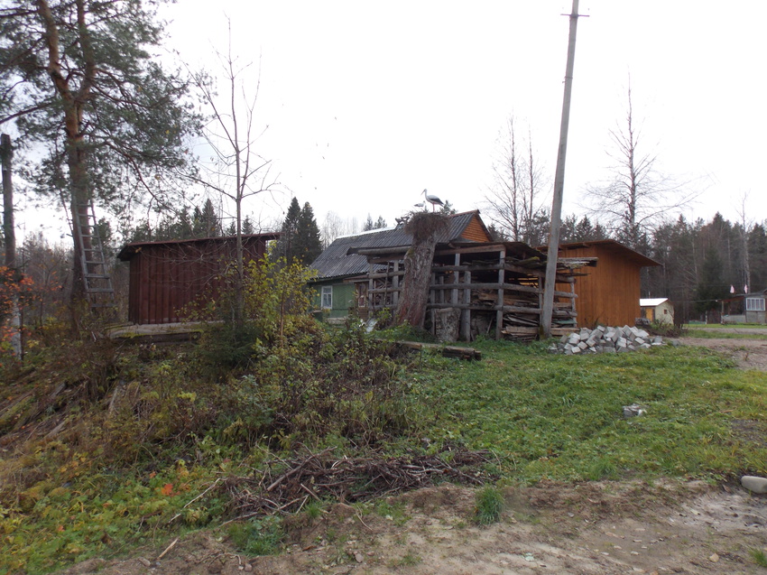 Дом Гапачевой Иры