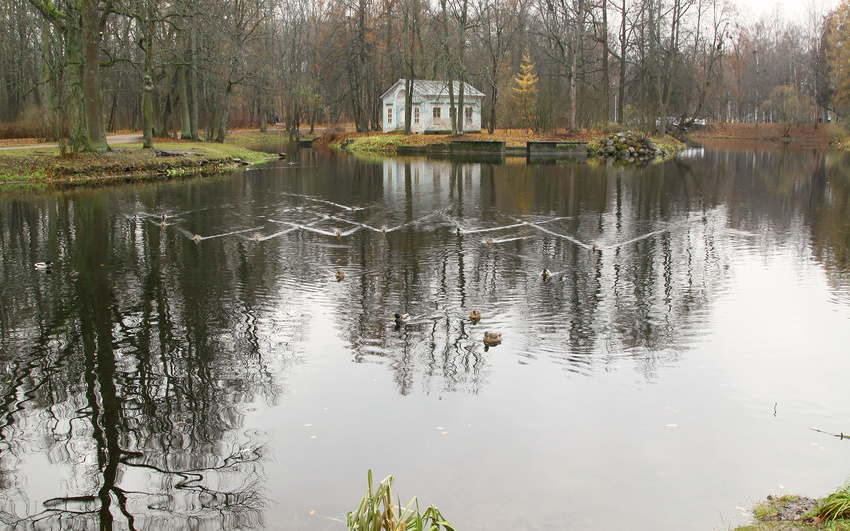 Детский пруд