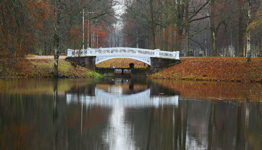 Мост в парке