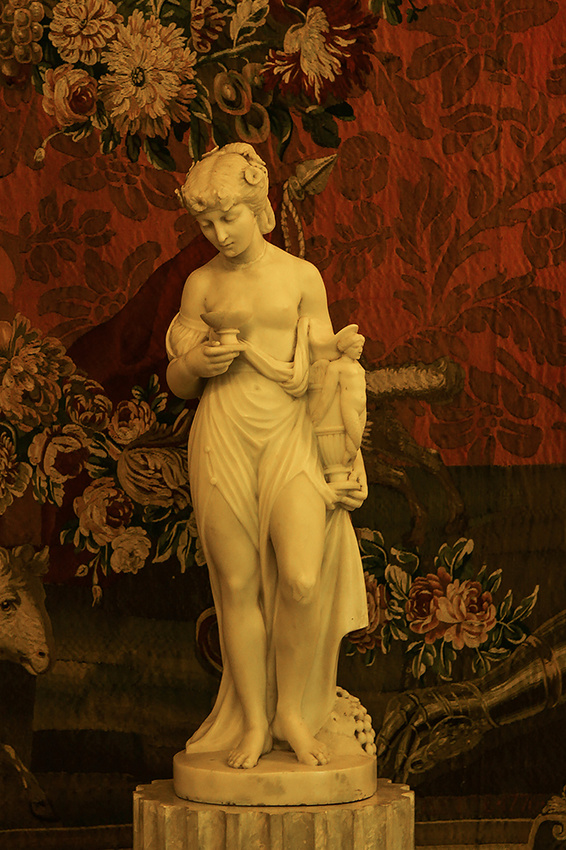 Павловский дворец. В Ковровом кабинете.