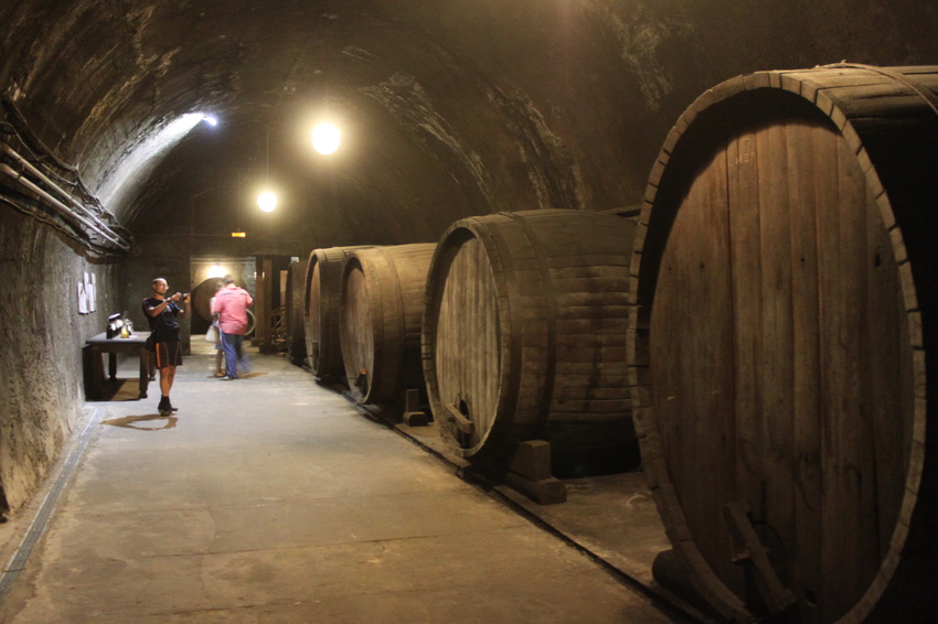 Абрау-Дюрсо. На заводе шампанских вин.