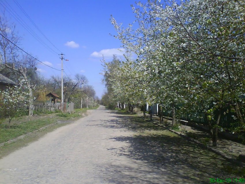 &quot;Зайчинкова&quot; вулиця