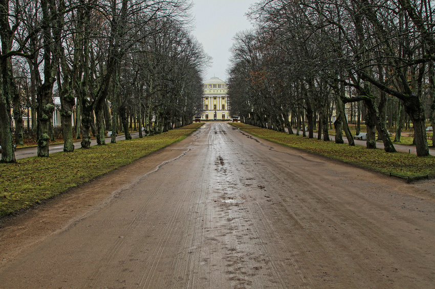 Главная липовая аллея