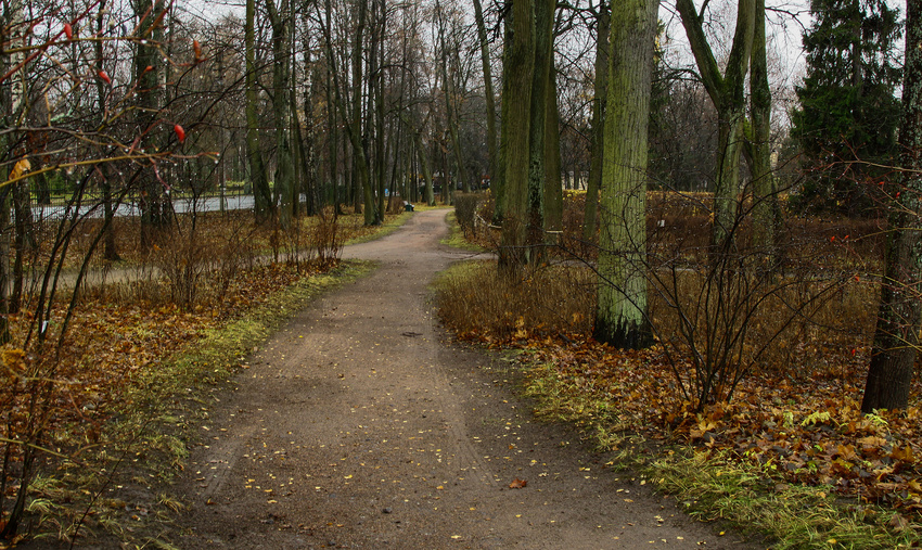 Павловский парк