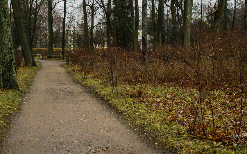 Павловский парк