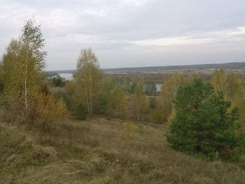 Вид на Мокшу с Сычихи. Осень 2015.