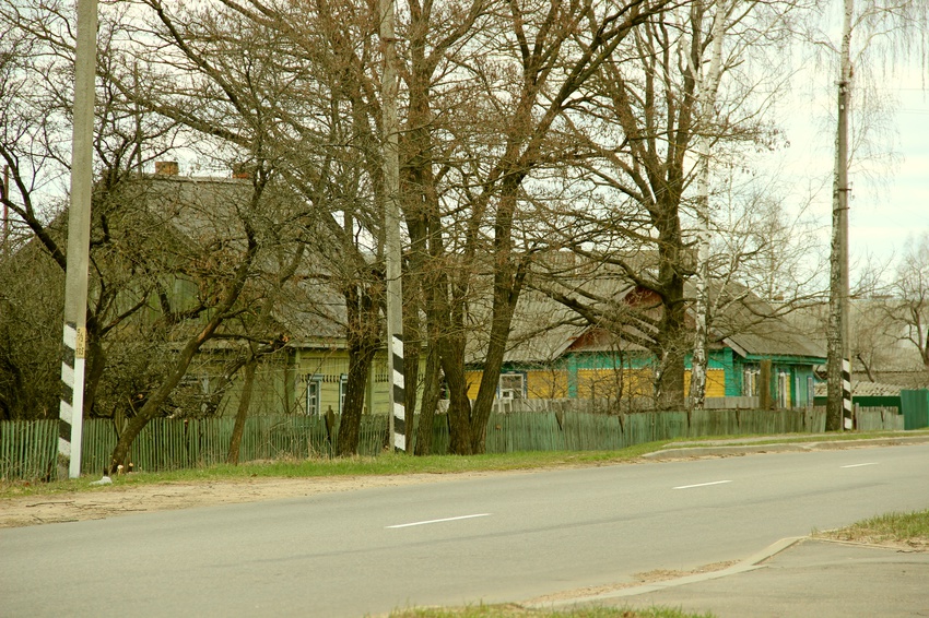 Улица в Белынковичах.