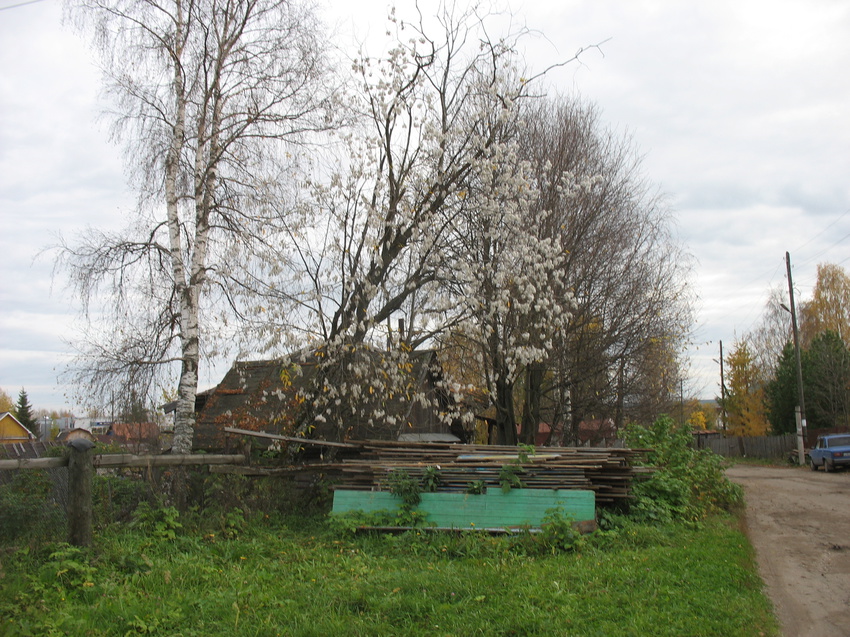 Сыктывкар 2015