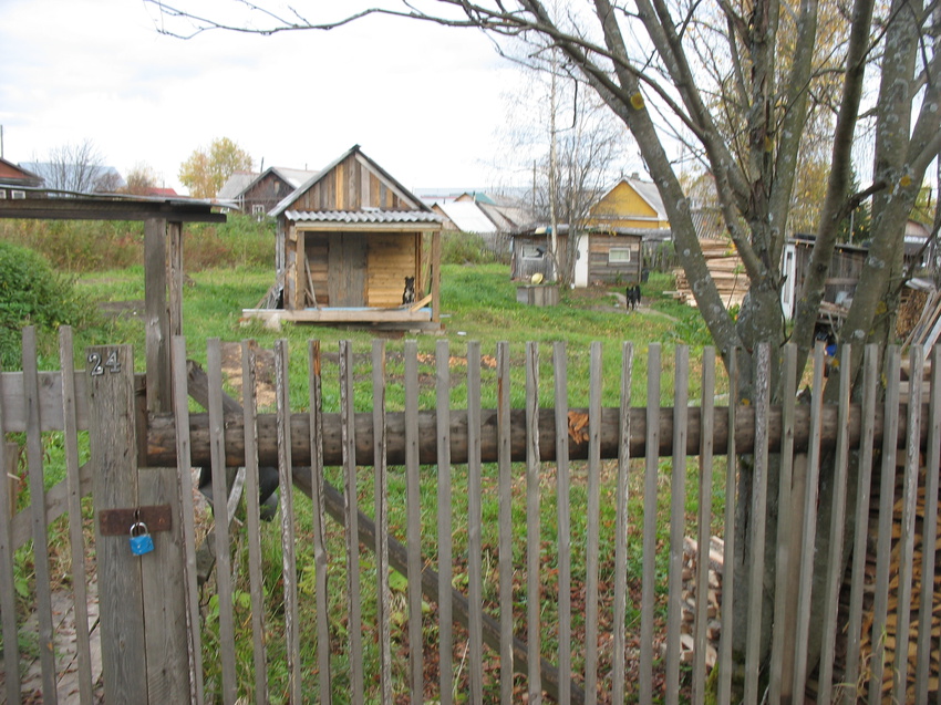 Сыктывкар 2015