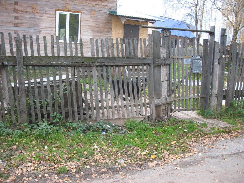 Сыктывкар 2015 - Давпон