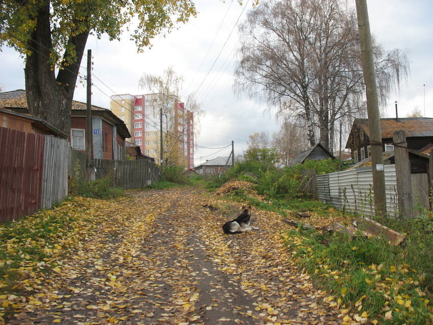 Сыктывкар 2015 - Давпон