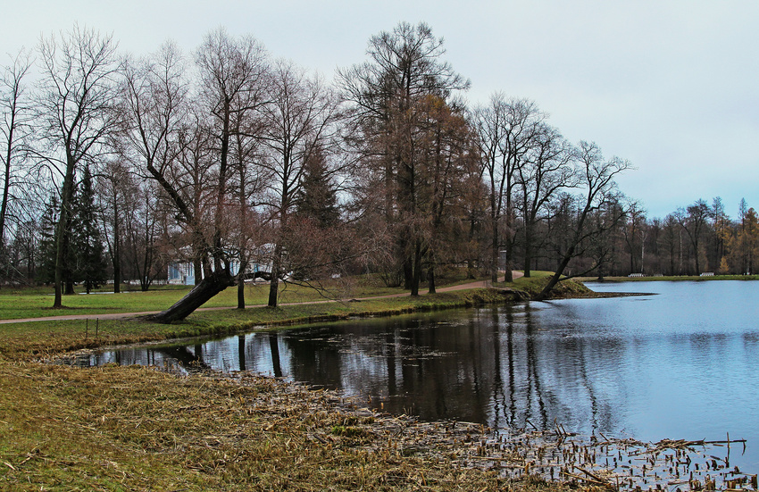 Екатерининский парк