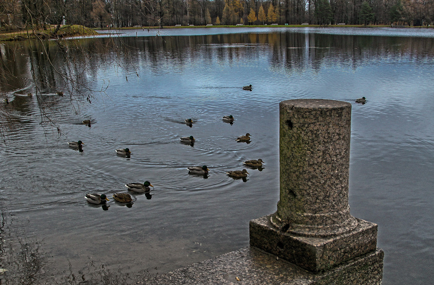 Большой пруд