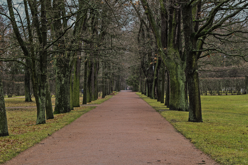 Аллея в парке