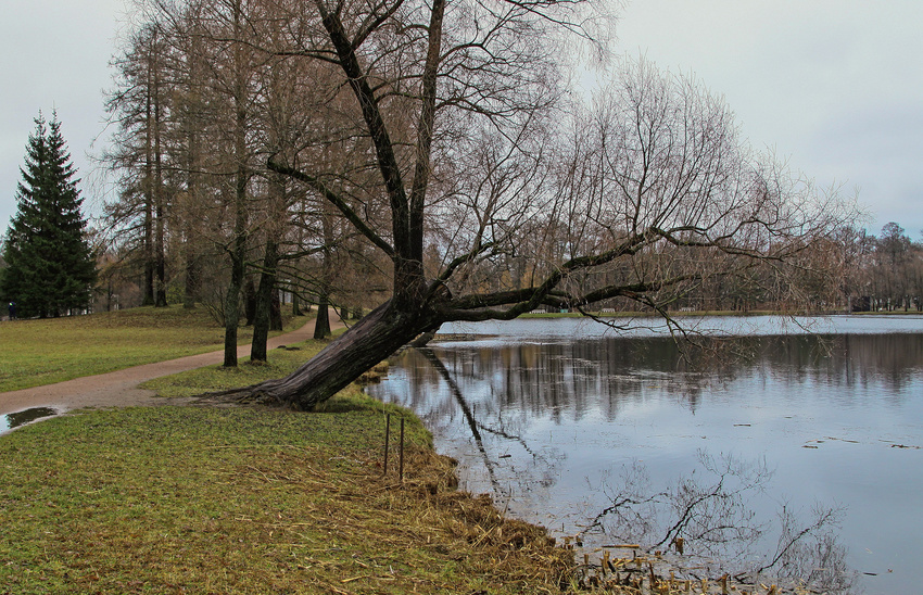Берег Большого пруда