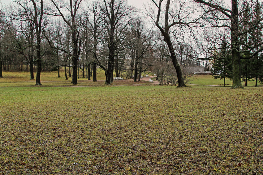 Екатерининский парк