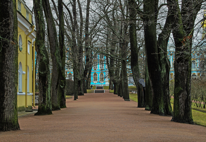 Аллея в парке