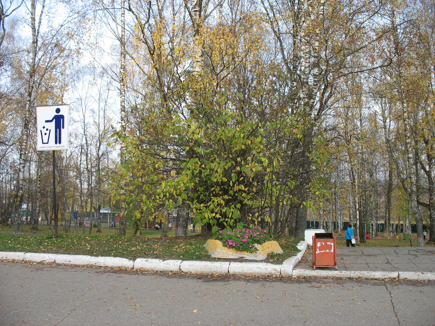 Сыктывкар 2015