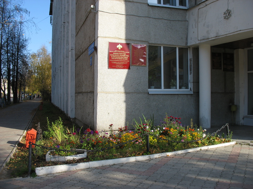 Сыктывкар 2015