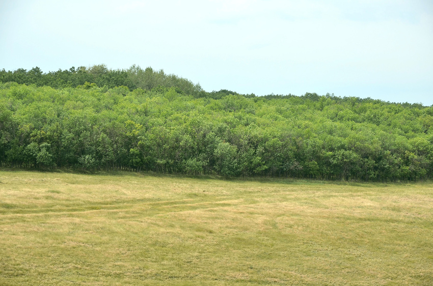 с. Троицкое