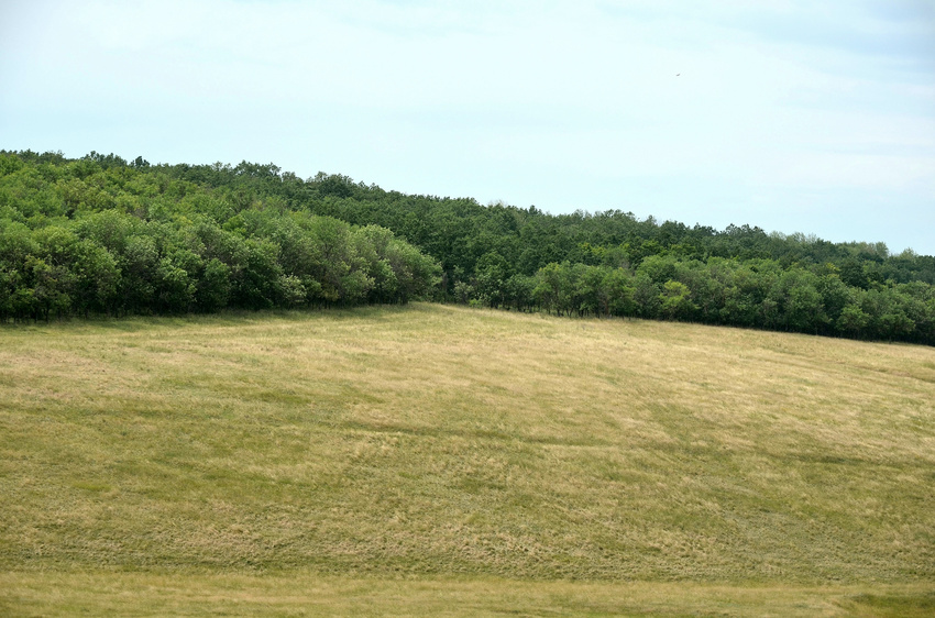 с. Троицкое