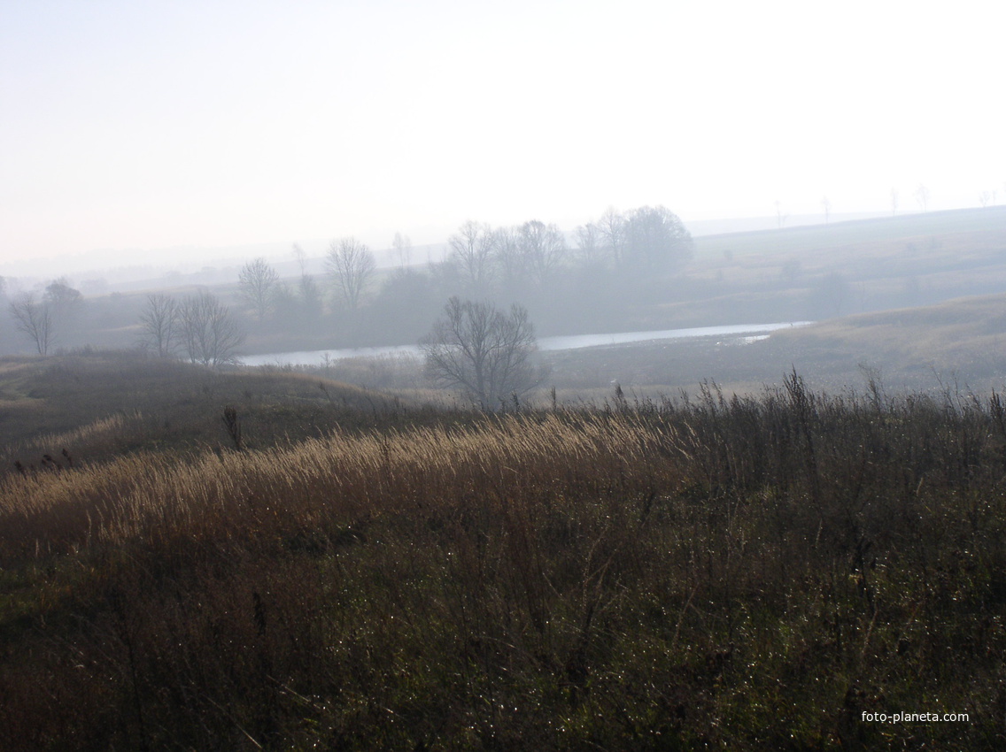 Село Орлия