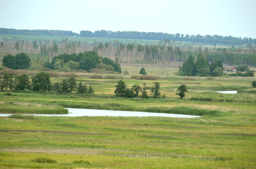 с. Троицкое