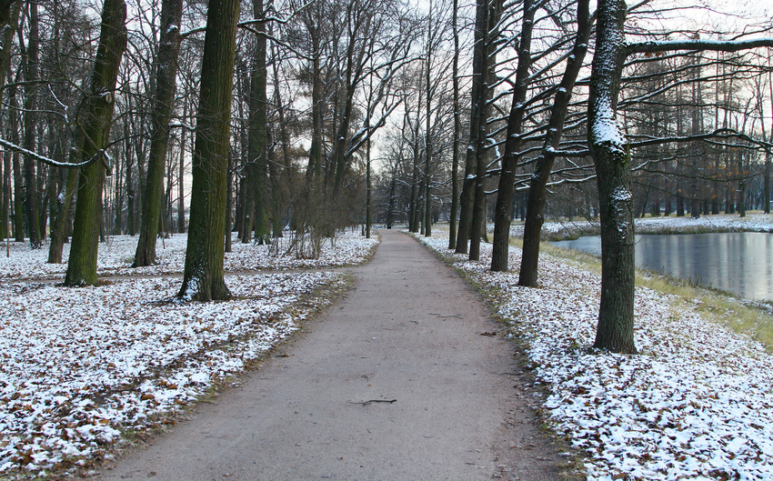 Дорожка в парке