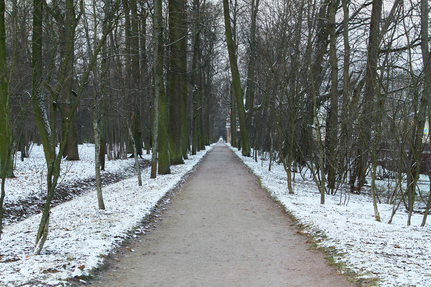 Аллея в парке