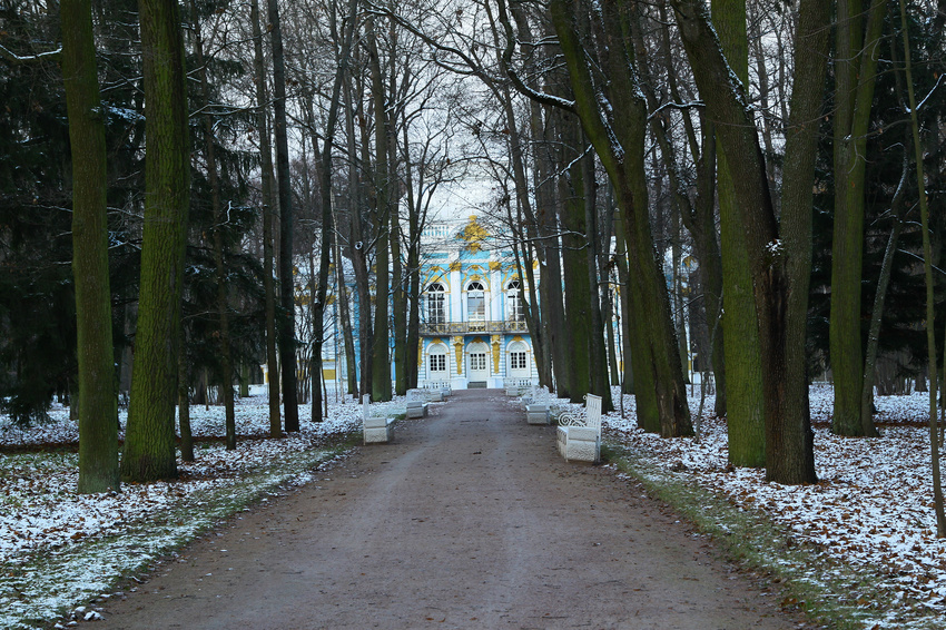 Дорожка в парке