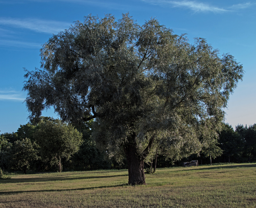 Фермский парк