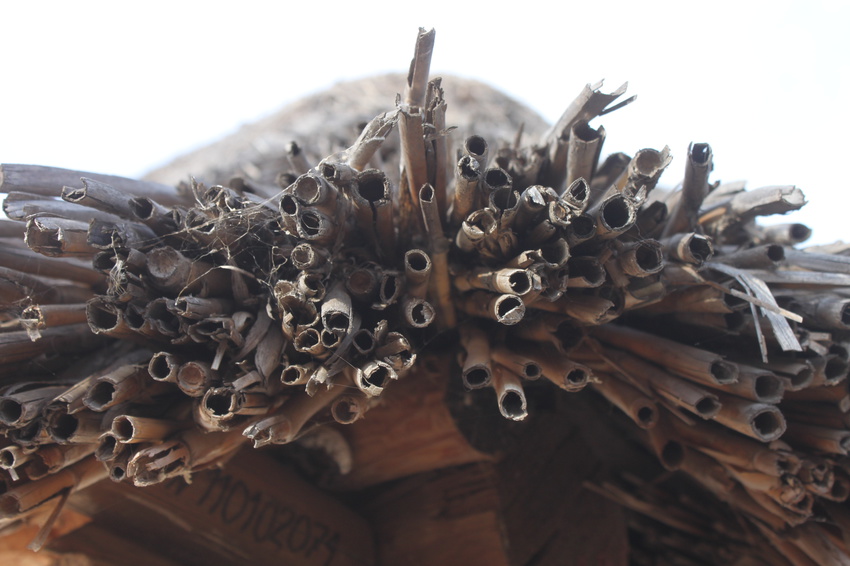 Станица Каргинская. Дом-музей М.Шолохова.