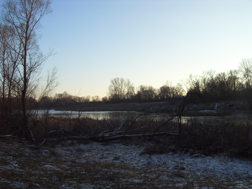 Пруд за садом