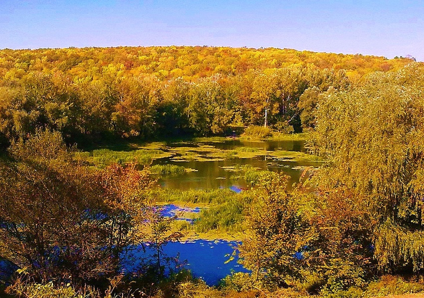 Река Ворона и Теллермановский лес. Осень.