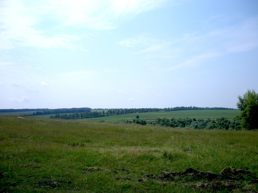 Природа села Соколовка