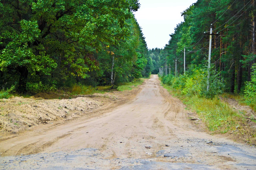 Участок лесной дороги от с. Зелёный Бор до с. Старотомниково