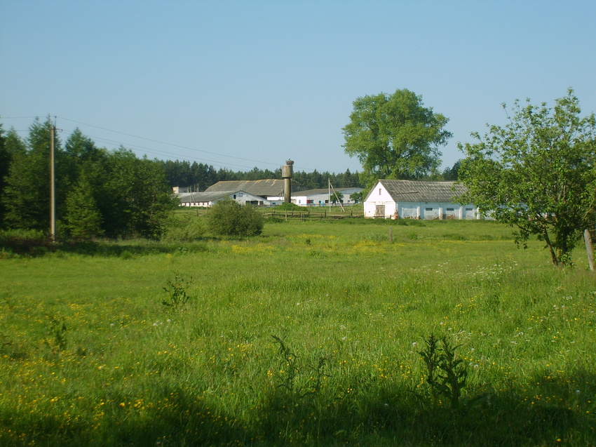 Вид на канюшьню и ферму