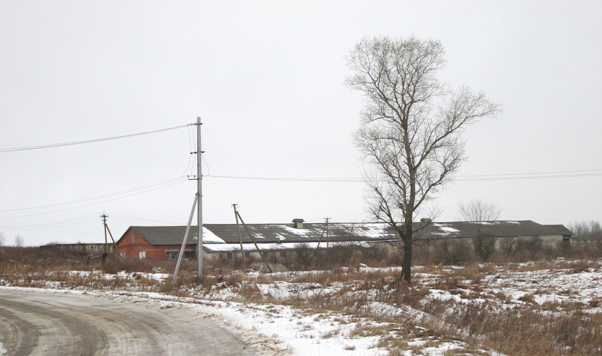 Ферма у Теханово.