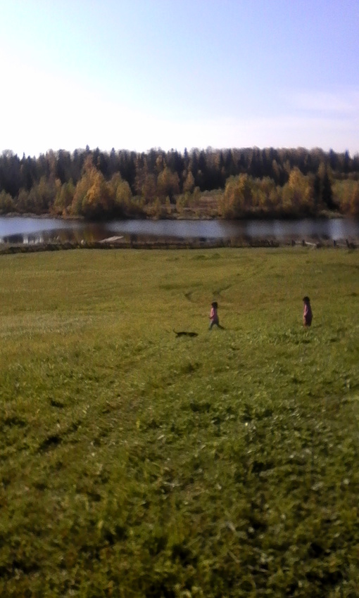 дорога к пруду