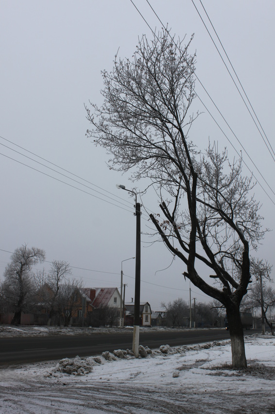 Хутор Крапивенские Дворы.