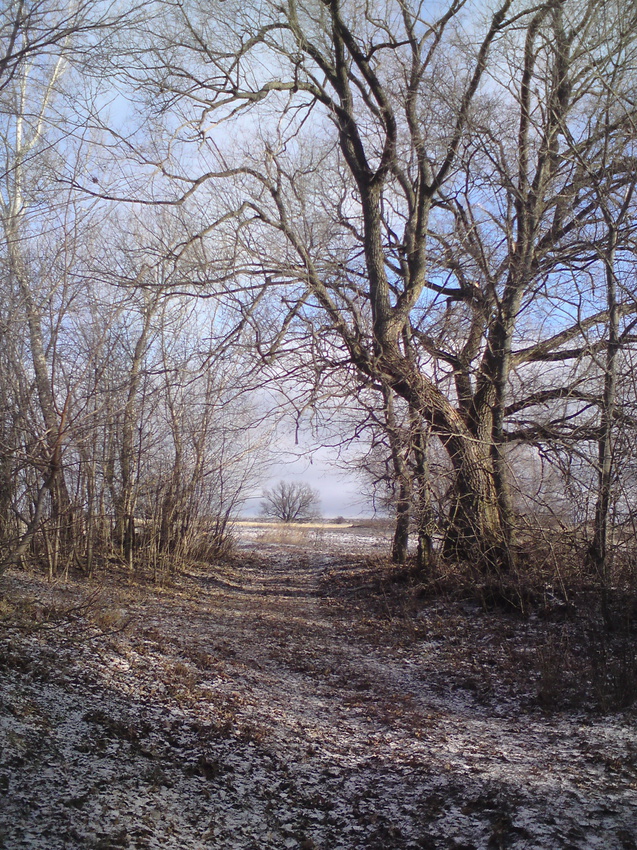 Солнечный день