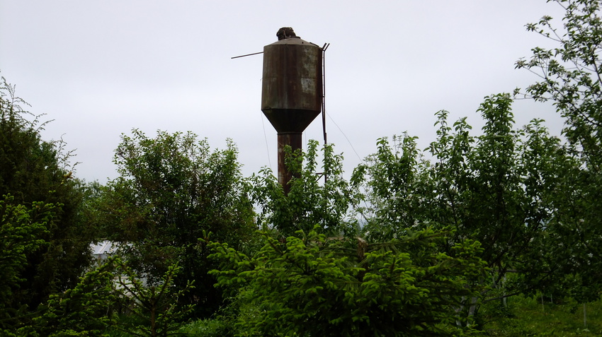 Каменка, май 2015года