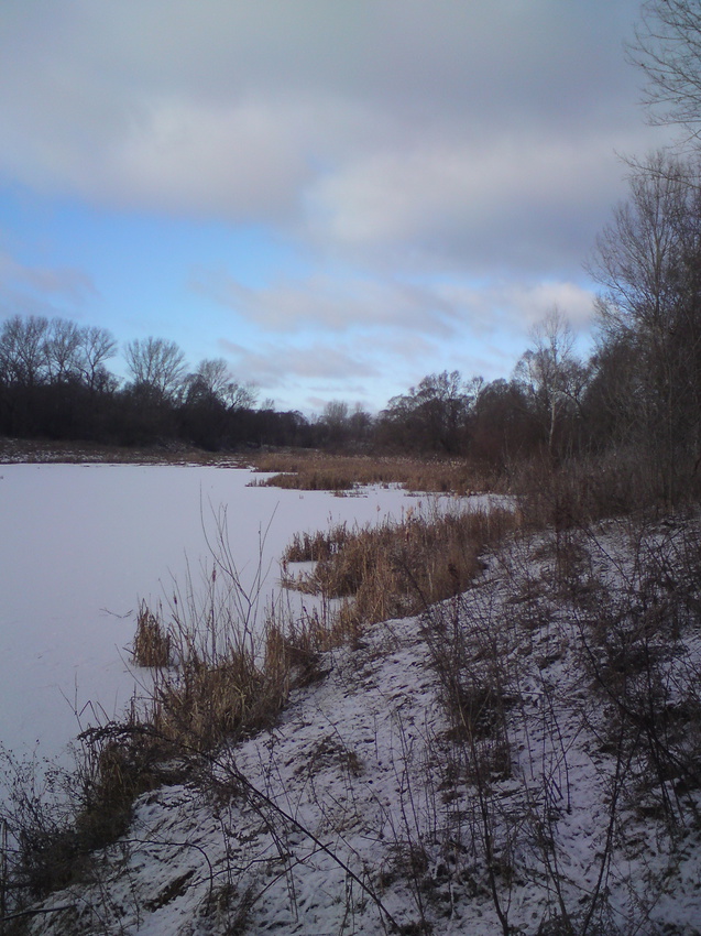 Замёрзший пруд